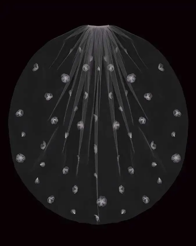 Haarschmuck 1m Hochzeitsschleier 2022 Organza Blumen Eine Schicht mit Kamm Braut Kopfschmuck Brautschleier Frauen Zubehör_voghion.com