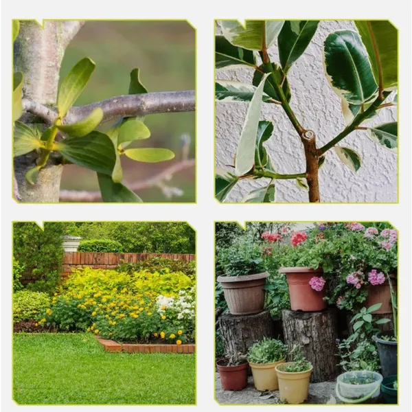 Elektrische Astschere Für Den Garten Und Professionellen Heckenschnitt_voghion.com