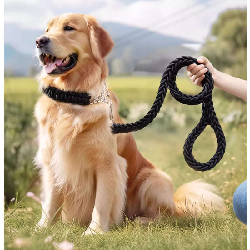 Laisse pour chien, taille moyenne, grand chien, corde à poil doré, chaîne pour labrador, collier pour chien, chaîne en P_voghion.com