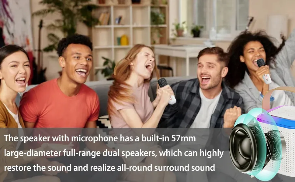 Microphone Portable Bluetooth Karaoke Speaker With 2 Wireless Handheled Microphones For Home Party 240621_voghion.com
