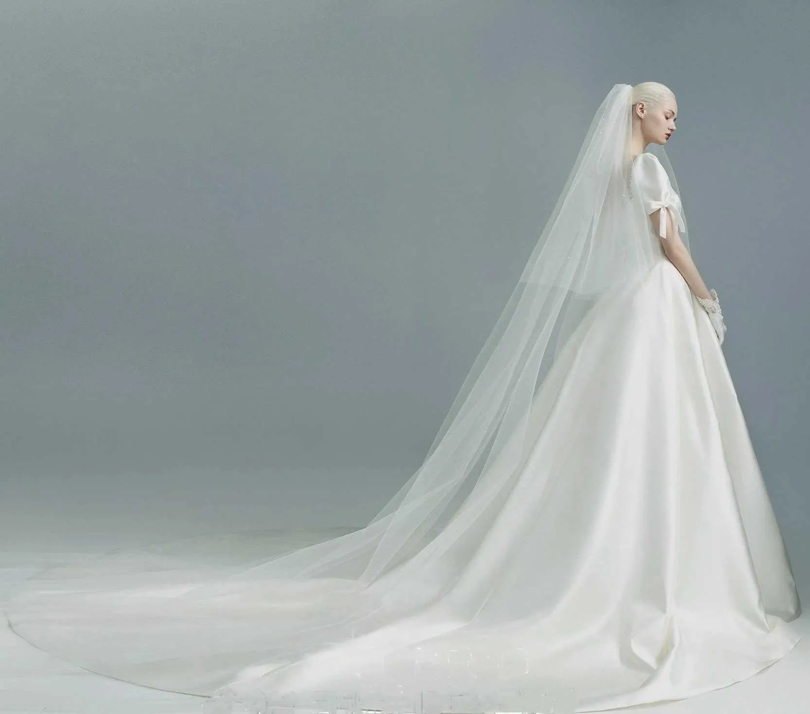 Velo da sposa due livelli cattedrale lungo con blusher per viso_voghion.com