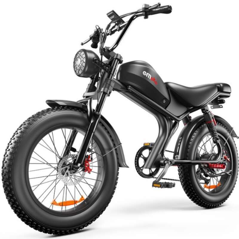 C93 Dual Motorsykkel Privatmodell 20 Tommers snødekk Elsykkel Ebike_voghion.com