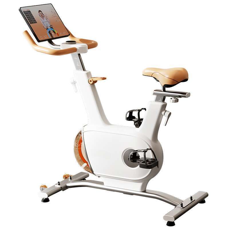 Feilton Self Powered Spinning Bike, Intelligent Home Small Equipment, Indoor Ultra Quiet Fitness Equipment_voghion.com