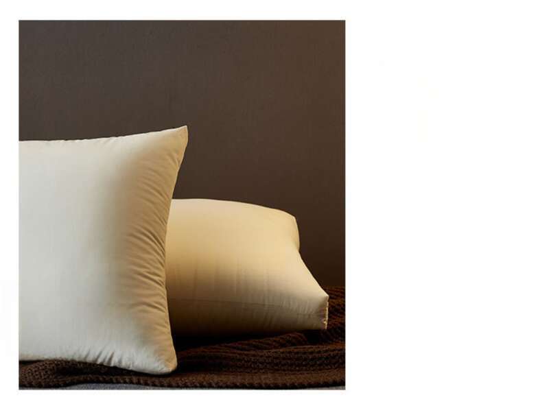 Almohada individual con núcleo de hotel de algodón puro, protección para el cuello, almohada de regalo de alta gama, transmisión en vivo_voghion.com