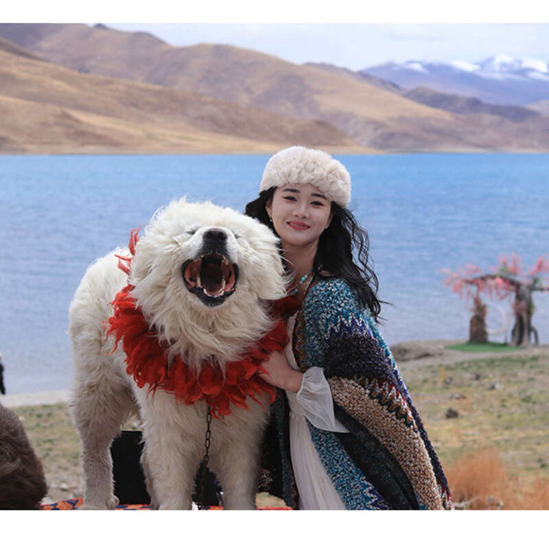 Poncho épais pour femme, châle de voyage, vêtements ethniques_voghion.com