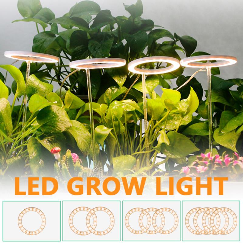Angel Ring Grow Light For Plants Phyto Grow Lamp USB 5V Phytolamp Growth Landscape Lighting For Indoor Plants Bonsai Flowers_voghion.com
