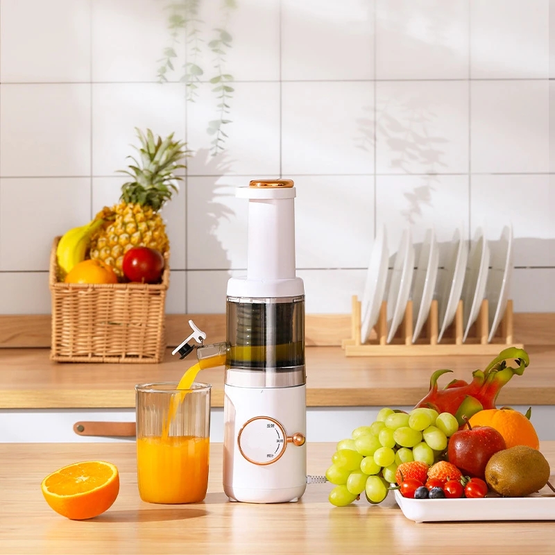 Mini Slow Juicer Screw Cold Press Extractor Patented Filter-Free Electric Fruit Vegetable Juicer Machine Modle-Portabable_voghion.com