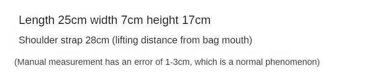 2024 Niche Design New Womens Bags Height Texture Ins Korean Cold Style Underarm Women Square Sg Bag Shoulder Ba241105_voghion.com