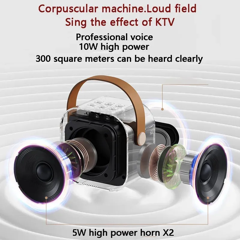 K12 Karaoke Hine Portable Bluetooth 5.3 PA Speaker System With 1-2 Wireless Microphones Home Family Singing Kids Xmas_voghion.com