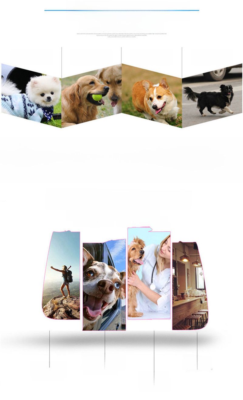 Neue Umhängetasche Katzen, faltbar, atmungsaktiv, den Außenbereich, Katzentasche, ausgehende Tasche, tragbare Tasche für_voghion.com