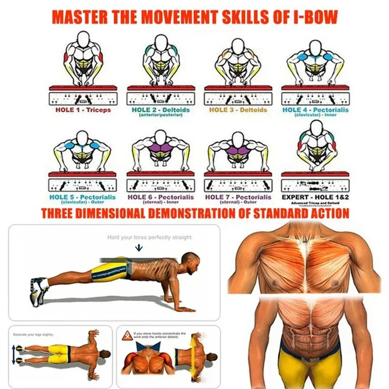Board Tragbares, multifunktionales, faltbares Trainingsgerät Push-Up-Bar für das Heim-Fitnessstudio-Gerät Bodybuilding Fiess Sports_voghion.com