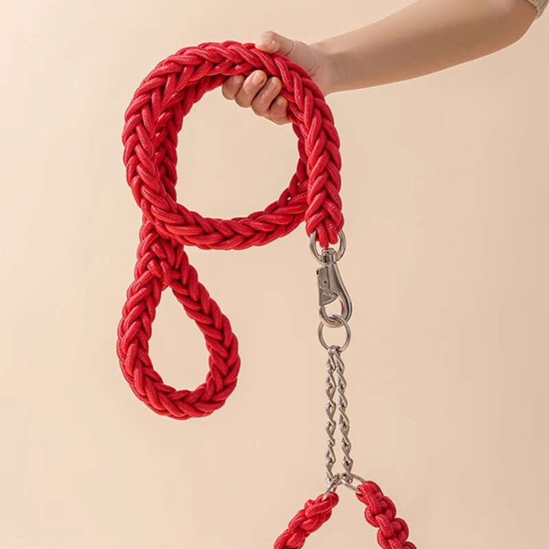 Laisse pour chien, taille moyenne, grand chien, corde à poil doré, chaîne pour labrador, collier pour chien, chaîne en P_voghion.com