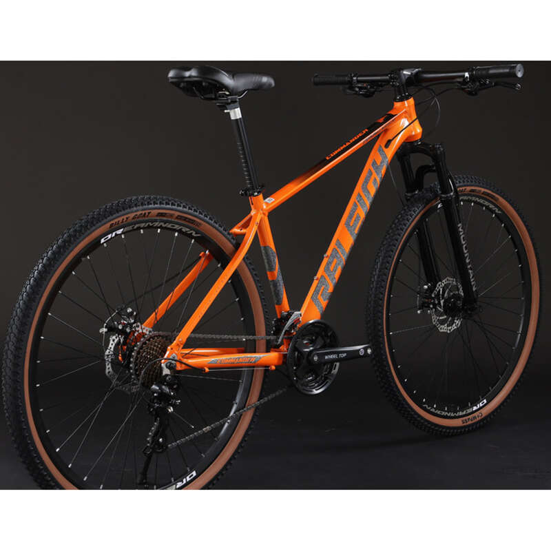 RALEIGH Dağ Bisikleti Yetişkin 29 İnç Alüminyum Alaşımlı Çerçeve Blueprint 30 Hızlı Hidrolik Disk Fren_voghion.com