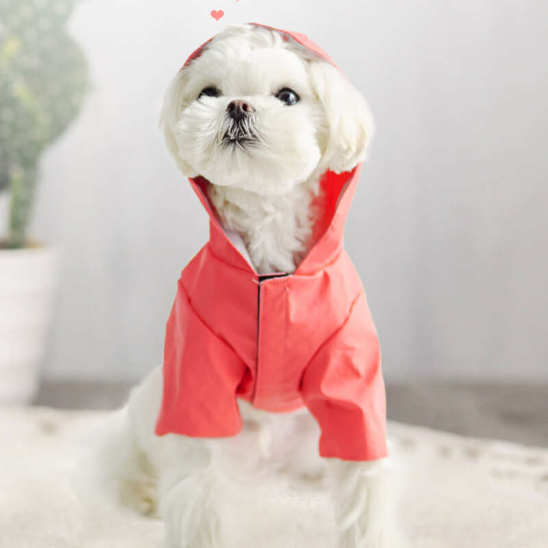 Impermeable para perros, con capucha, para cuatro patas, impermeable, todo incluido, para perros pequeños_voghion.com