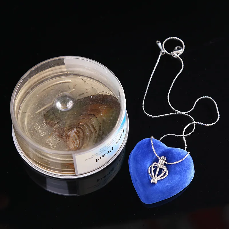 Anhänger Halsketten Liebesperlenkette Natürliche Auster Süßwasser Set Frauen Modeschmuck Geheimnisvolle Überraschung_voghion.com