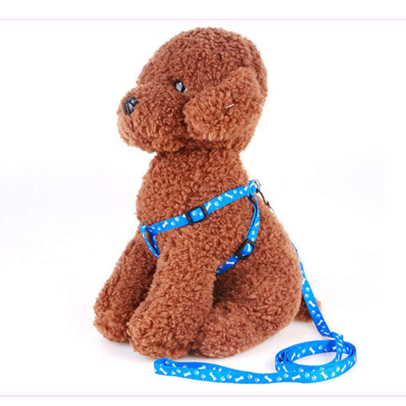 Pet Supplies Stickers With Colorful Chest Back Prints For Cats, Rabbits, Dogs, Chains, Leashes, And Pet Leashes_voghion.com