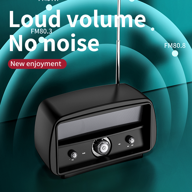 Barra audio stereo surround Altoparlante wireless compatibile con Bluetooth 5.0 con trasmettitore FM Lettore radio AUX Supporto scheda TF U Disk_voghion.com