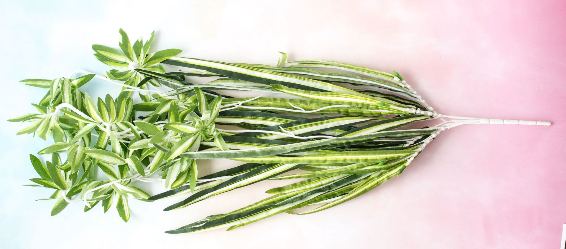 Simulation of spider wall, dragon beard white edge grass orchid family, flower arrangement with grass wall background decoration simulation plant_voghion.com