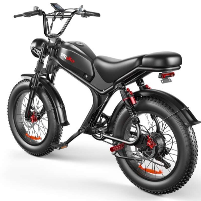 C93 Dual Motorsykkel Privatmodell 20 Tommers snødekk Elsykkel Ebike_voghion.com