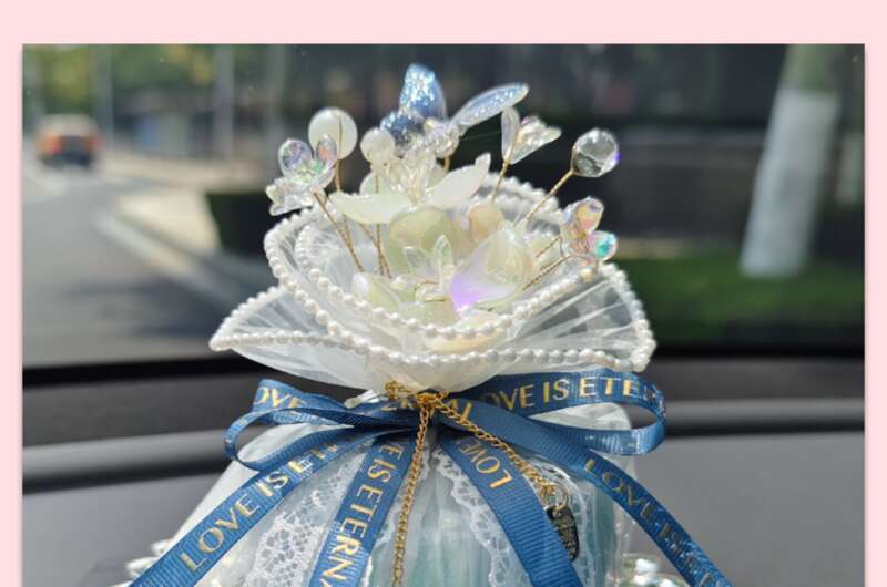 Creative Bamboo Bag, New Formaldehyde Removal, Deodorization, Aromatherapy Charcoal Bag Decoration, Fashionable Car_voghion.com