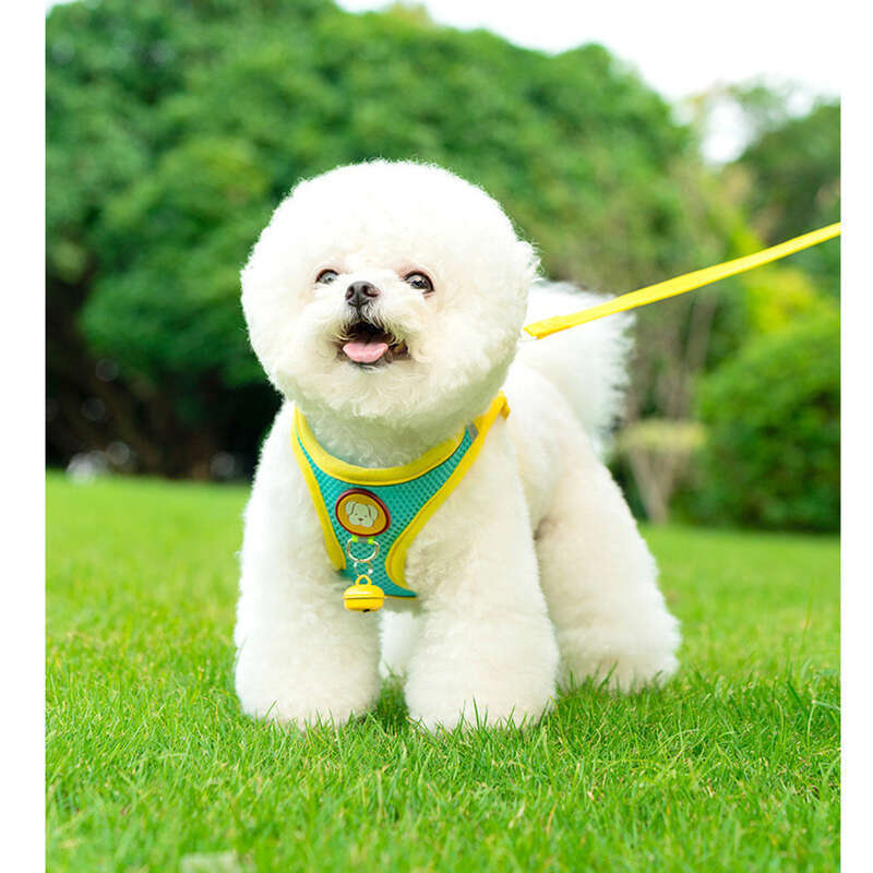 Tank Top Style For Small And Medium-sized Dogs, Bibi, Pomeranian Puppies, Chest Harness, Pet Chain, Dog Walking Leash_voghion.com