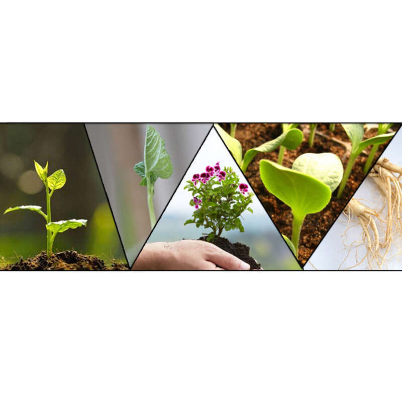 Dispozitiv de control al rădăcinilor răsadurilor din plastic bicolor suculent, recipient pentru flori din plastic moale, ghiveci de plante_voghion.com