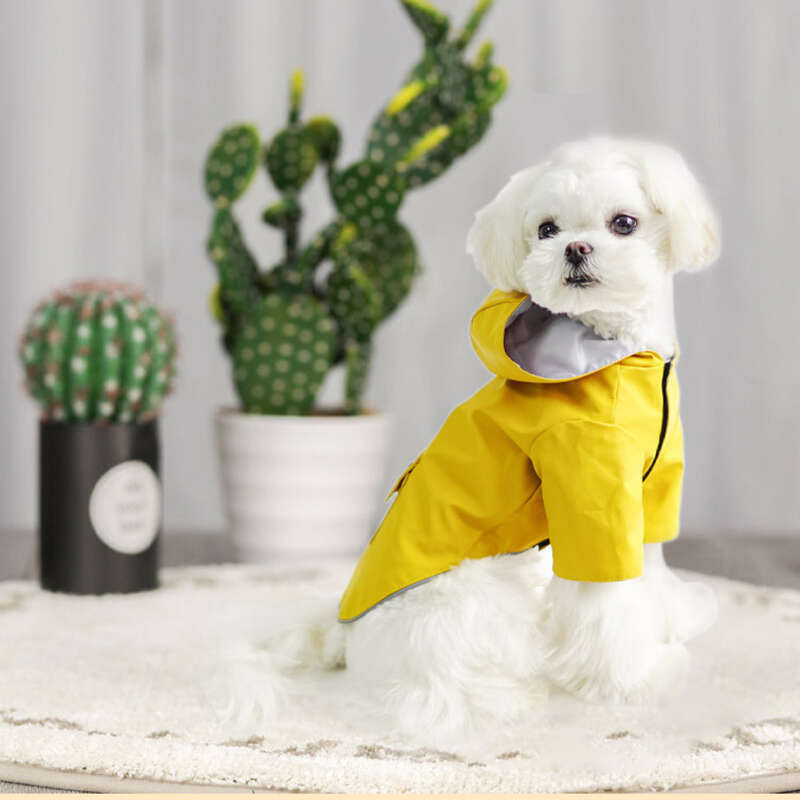 Impermeable para perros, con capucha, para cuatro patas, impermeable, todo incluido, para perros pequeños_voghion.com