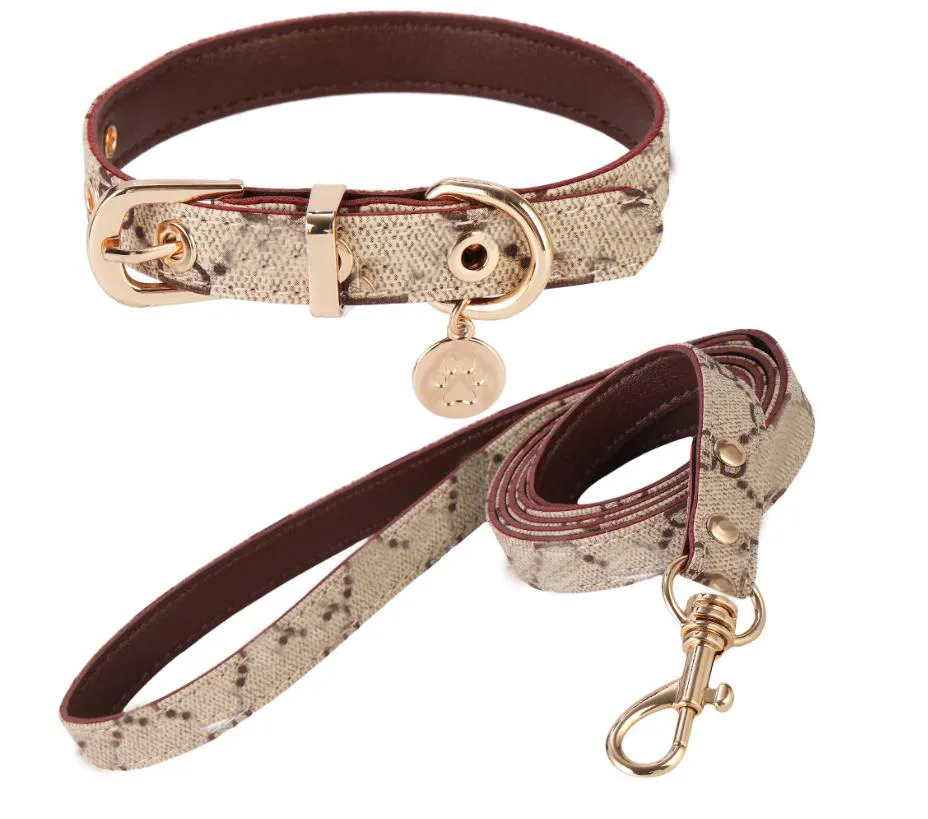 Guinzagli con retro in PU e lettera, in pelle, con collare Teddy, per passeggiate con cani e gatti, con fiori, di design, per animali domestici_voghion.com