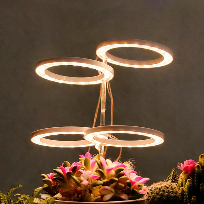 Angel Ring Grow Light For Plants Phyto Grow Lamp USB 5V Phytolamp Growth Landscape Lighting For Indoor Plants Bonsai Flowers_voghion.com