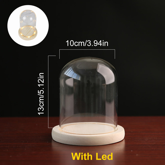 Stikla kupola koka pamatne ar LED gaismas ainavu vāzi, sausu ziedu sloksnes vāku, DIY sukulentu augu konteinera turētāja guļamistabas dekors_voghion.com