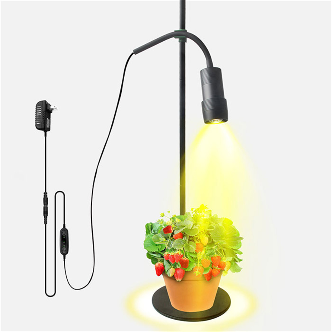 Adjusted Height Zoomable 10W LED Grow Light with 3/6/12H Timmer Desktop Floor 5 Step Dimmable Full Spectrum Plant Growing Lamp_voghion.com