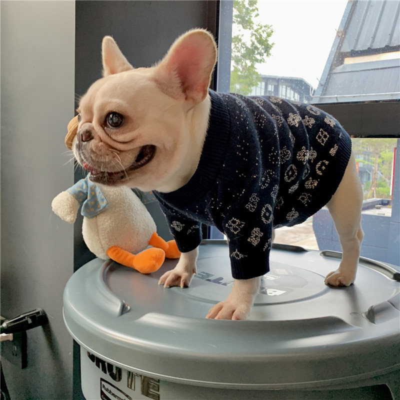 Klær Katt Bulldog Mops Teddy Schnauzer Valp Klær Høst Vinter Hundegensere_voghion.com