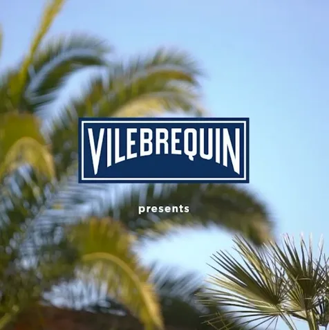 Vileberquin Kurze Designermode Herren Boardshorts Badehose Herren Surfwear Elastisch Schnelltrocknend Wasserdicht Turtle Mesh_voghion.com