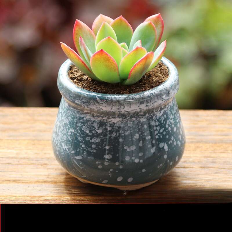 Succulent Flower Pot, Horticultural Mini Creative Rough Ceramic, Home Furnihing, New Product, Ceramic Jar, And_voghion.com