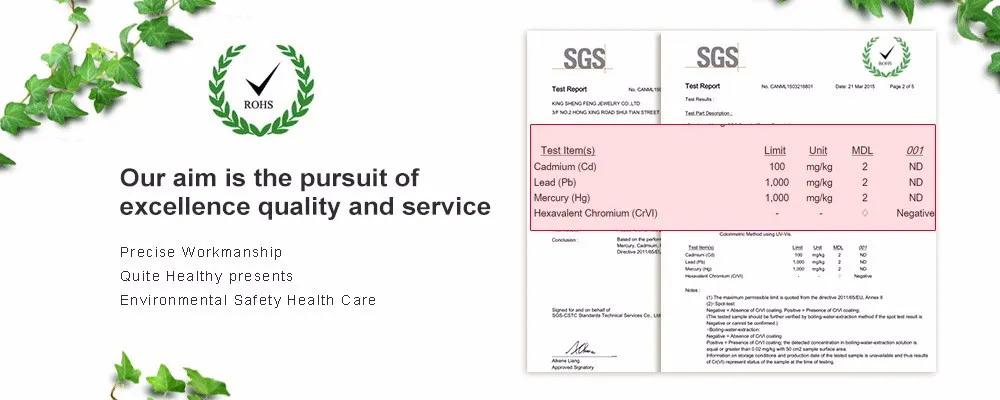 Collane con ciondolo Collana con urna per cremazione a forma di elefante nero in acciaio inossidabile Gioielli ricordo per animali Portafortuna_voghion.com