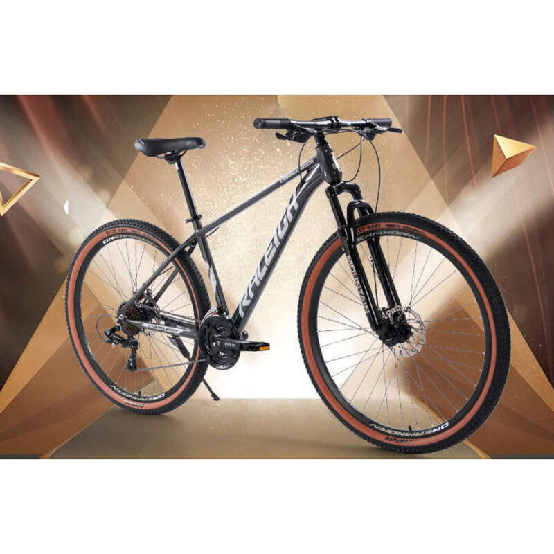 RALEIGH Dağ Bisikleti Yetişkin 29 İnç Alüminyum Alaşımlı Çerçeve Blueprint 30 Hızlı Hidrolik Disk Fren_voghion.com