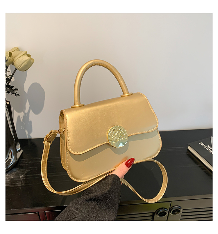 Women's Tide 2024 Fashion Style Simple Solid Color Handbag Spring Multi color Fashionable Handheld Crossbody Bag_voghion.com
