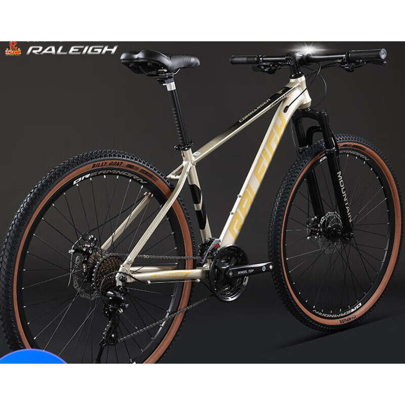 RALEIGH Dağ Bisikleti Yetişkin 29 İnç Alüminyum Alaşımlı Çerçeve Blueprint 30 Hızlı Hidrolik Disk Fren_voghion.com