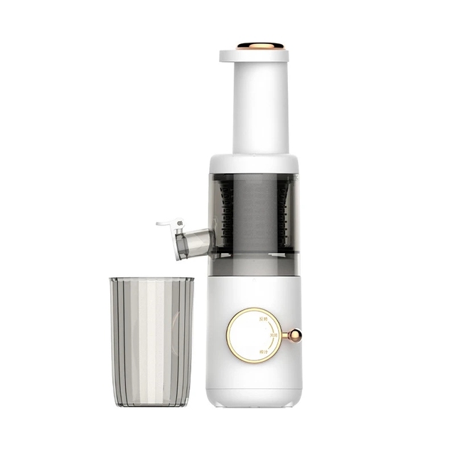 Mini Slow Juicer Screw Cold Press Extractor Patented Filter-Free Electric Fruit Vegetable Juicer Machine Modle-Portabable_voghion.com