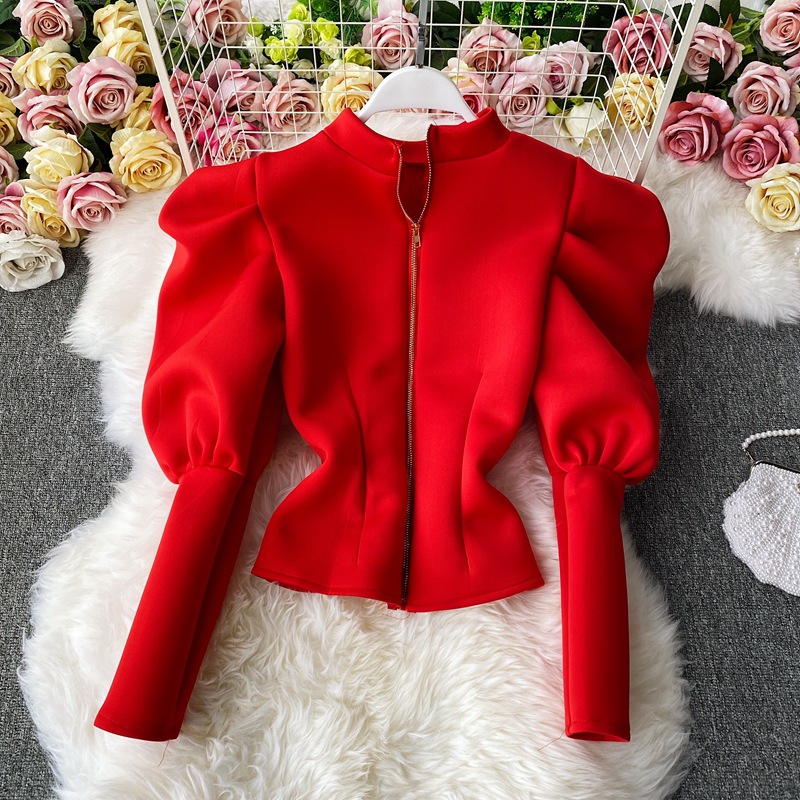 Women's Clothing Temperament celebrity stand up collar shirt female new autumn and winter palace style slim long sleeves fashionable puff sleeve tops