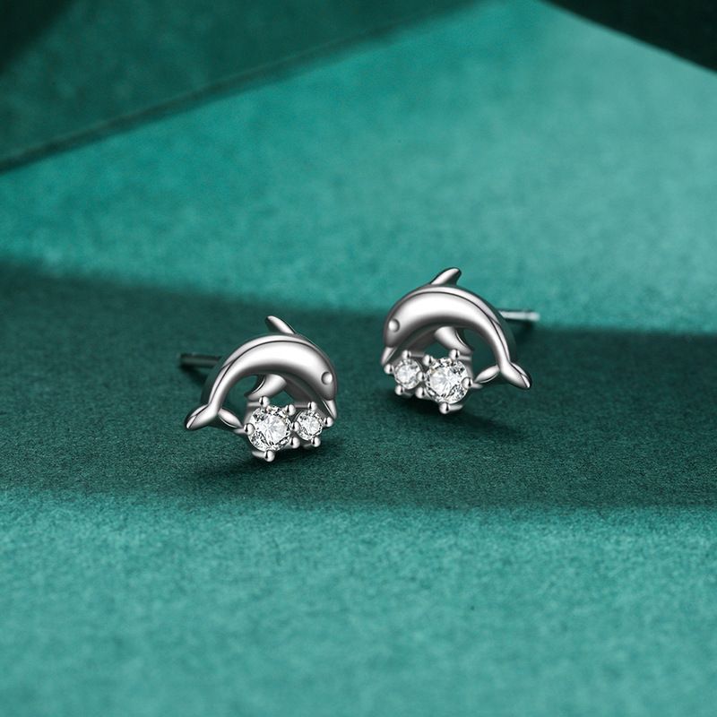 Tancise Sier Zirkon Ohrringe Für Frauen Hochzeit Partei Geschenke_voghion.com