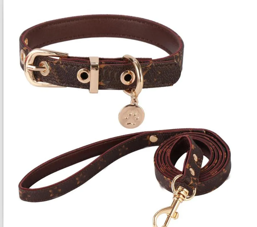 Guinzagli con retro in PU e lettera, in pelle, con collare Teddy, per passeggiate con cani e gatti, con fiori, di design, per animali domestici_voghion.com